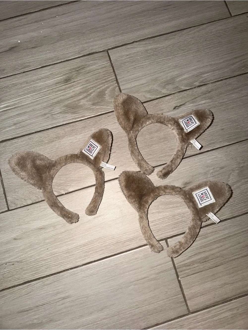 3 Great Wolf Lodge Ears